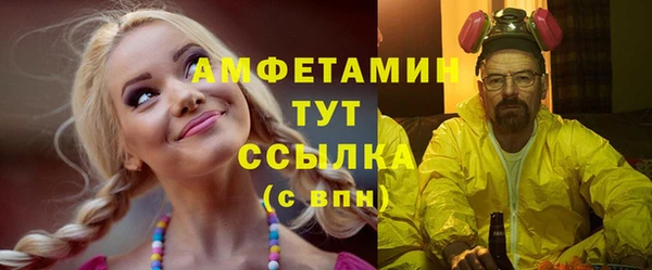 индика Белокуриха