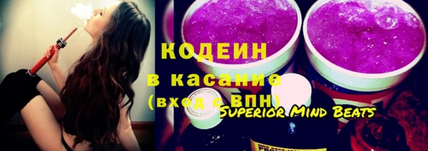 индика Белокуриха