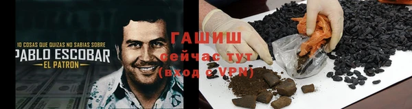 индика Белокуриха