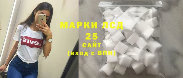 индика Белокуриха