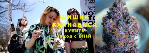 индика Белокуриха