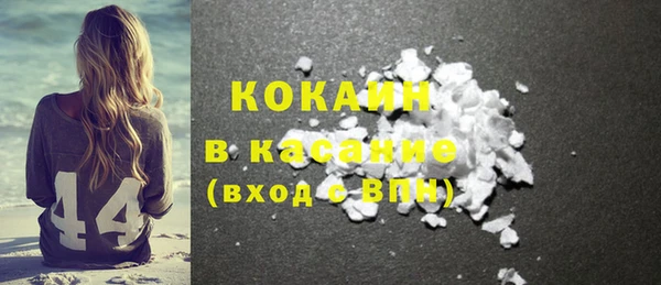 индика Белокуриха