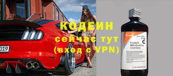 прущие крисы Ельня