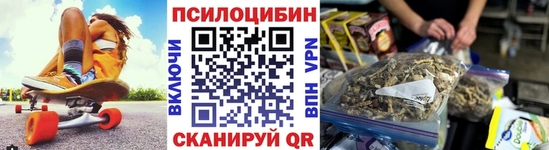 Псилоцибиновые грибы Psilocybe  цены наркотик  mega зеркало  Вельск 